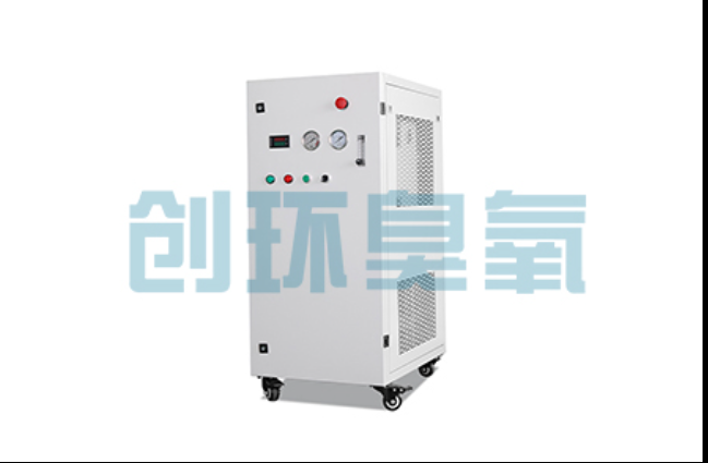 贺州工厂化养鲈必看:2026年臭氧发生器替代传统消毒的最新方案