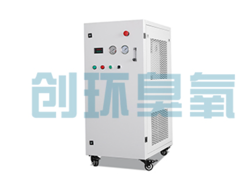 贺州石斑鱼养殖水质调控完整指南：臭氧发生器配置与操作步骤