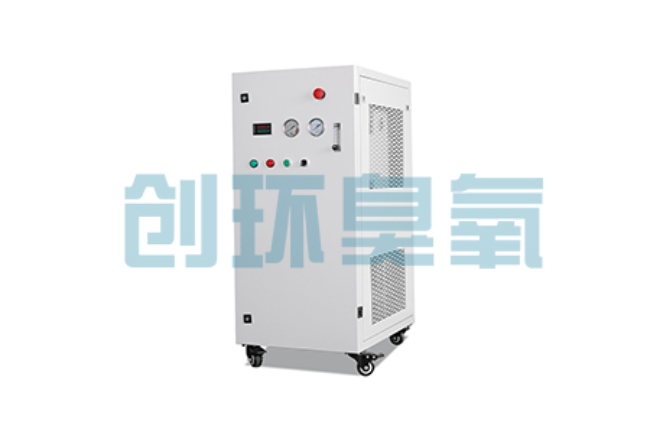 贺州比传统换水更高效？臭氧发生器在石斑鱼养殖中的水质净化原理解析